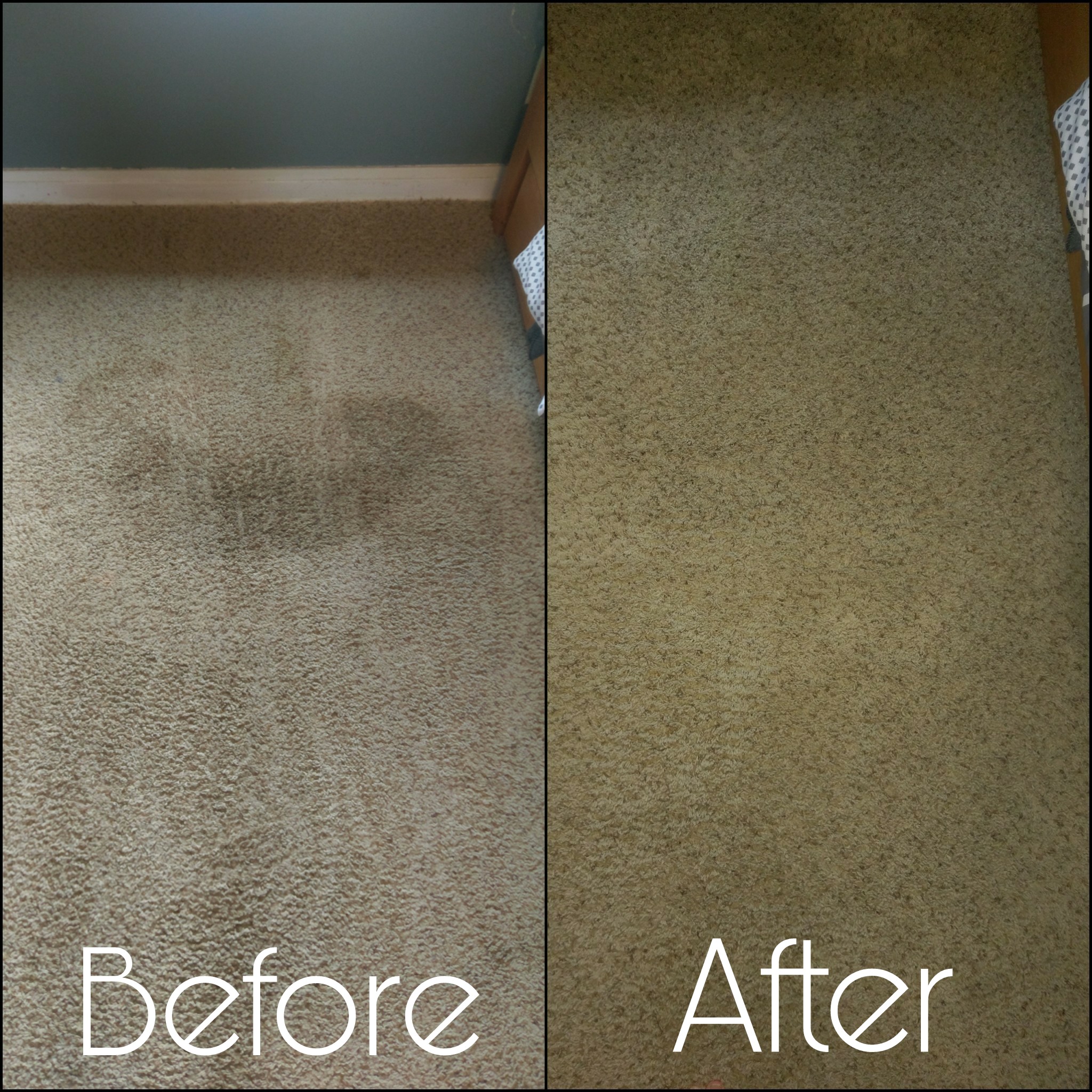 Lapeer Steam Cleaning  Professional Carpet Cleaning, Upholstery Cleaning,  Tile & Grout Cleaning, Window Cleaning and Water Damage Restoration in  Lapeer and Surrounding Counties, Michigan.